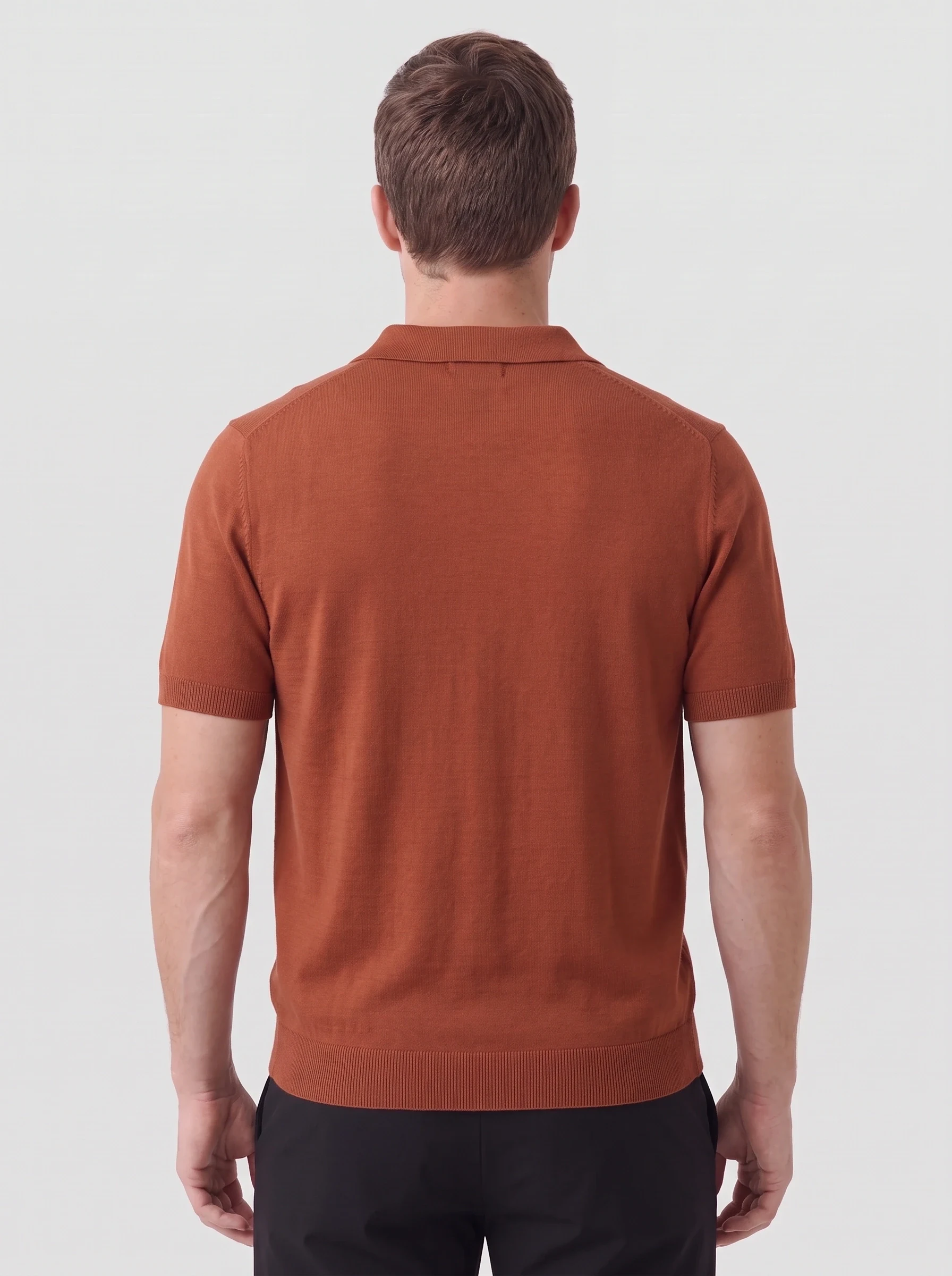 Rust Open Collar Knit Polo, men solid polos, back view