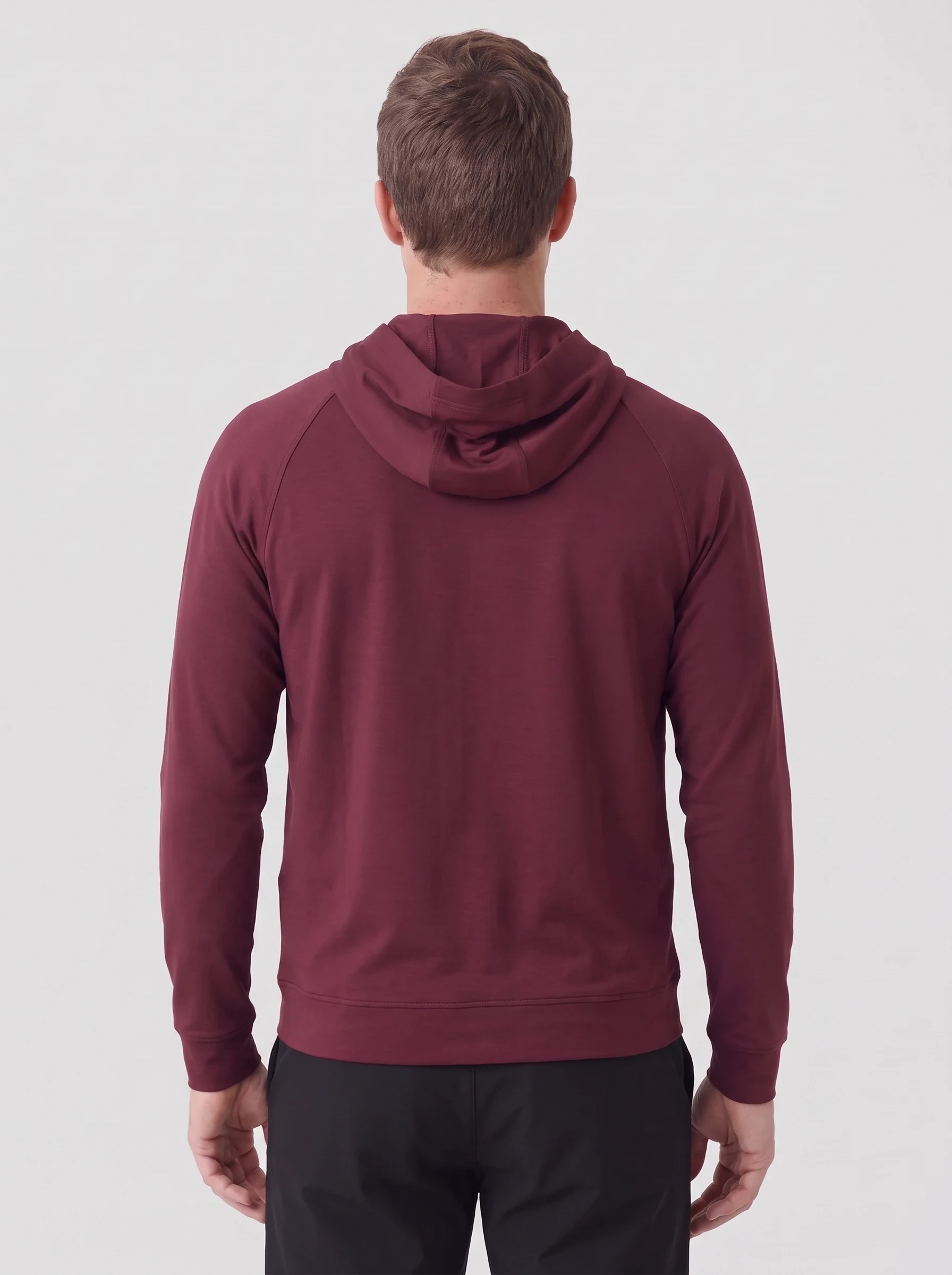 Burgundy Henley Hood Pullover, men hoodies, back view
